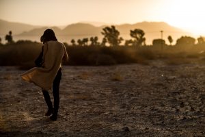 coachella, California, palm springs, desert, photography,