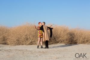 coachella, California, palm springs, desert, photography,
